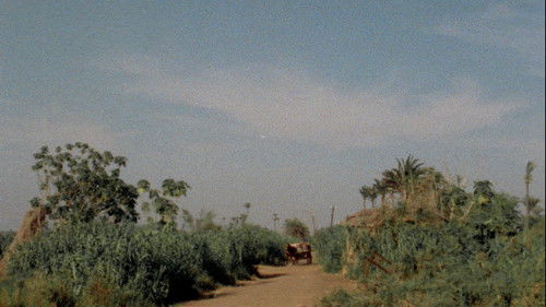 Trop tôt, trop tard Bild 2