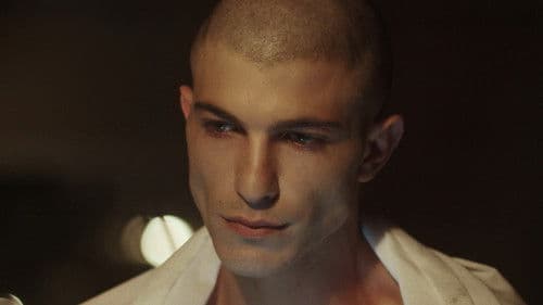 Night of Love Bild 5