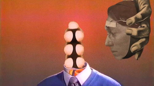 Erodium Thunk Bild 1