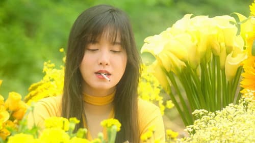 다크 옐로우 Bild 2