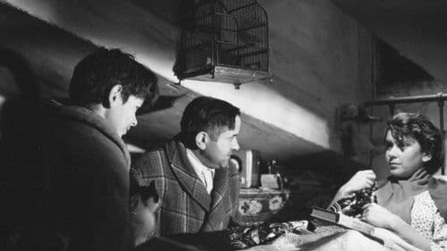 Segundo López, städtischer Abenteurer Bild 6