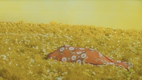 恋や恋なすな恋 Bild 6