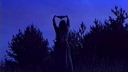 Мальчик-невидимка Bild 1