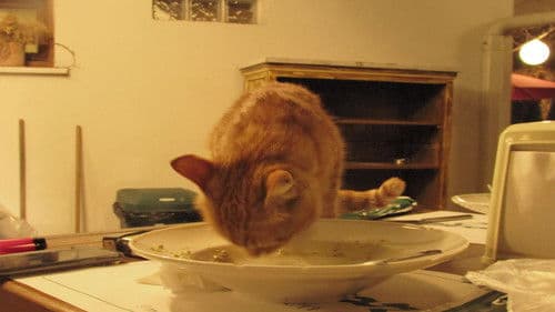 Kayadan Seken Kurşun Bild 2