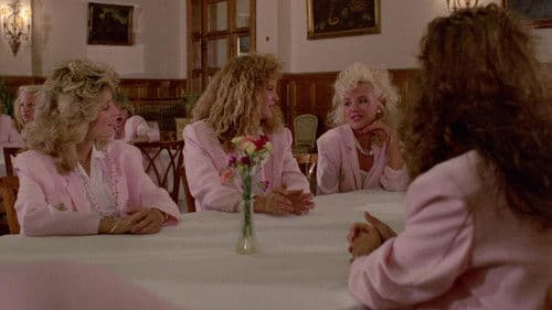 Die Bikinifalle Bild 3