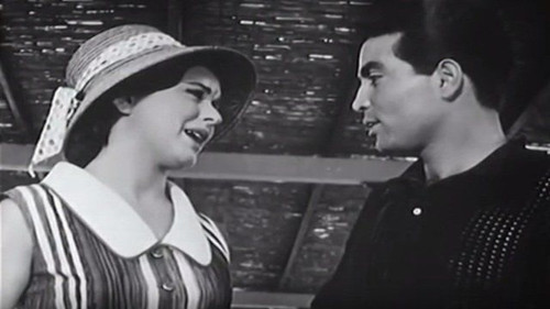 مفيش تفاهم Bild 3