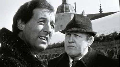 Dubbelstötarna Bild 2