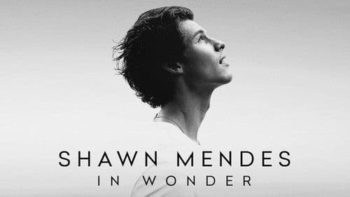 Shawn Mendes: In Wonder Bild 6