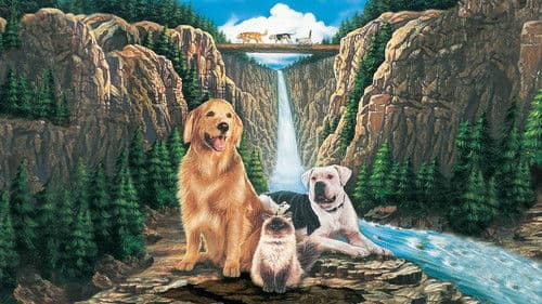 Zurück nach Hause: Die unglaubliche Reise Bild 3