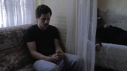 José Combustão dos Porcos Bild 2