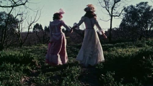 Strange Diary Bild 4