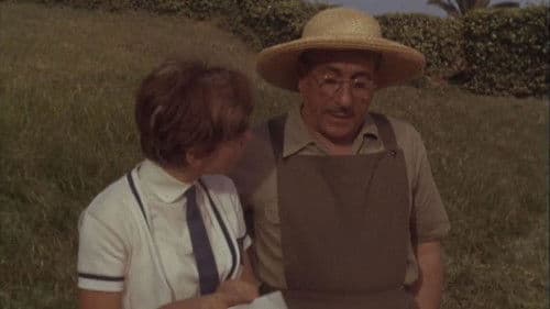 Rita la zanzara Bild 1