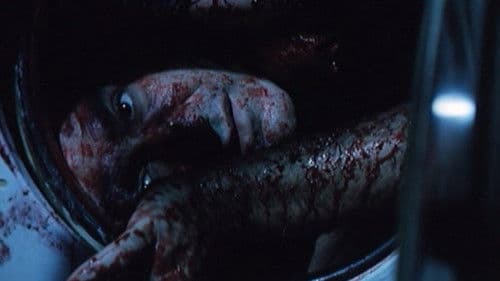 Die Waschmaschine Bild 3