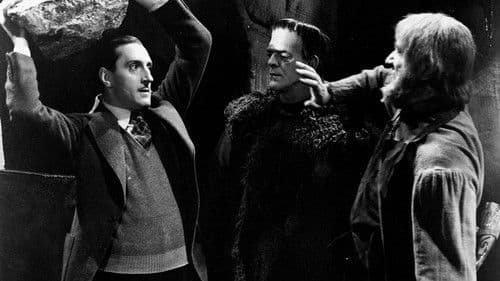 Frankensteins Sohn Bild 3