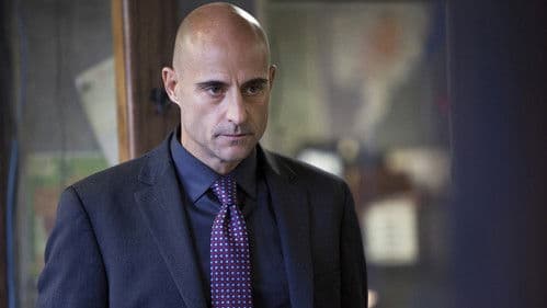 Low Winter Sun Bild 6