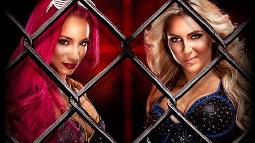 WWE Hell in a Cell 2016 Bild 1