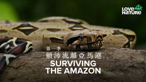 Surviving the Amazon Bild 1