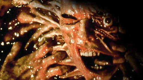 Amityville - Face of Terror Bild 4