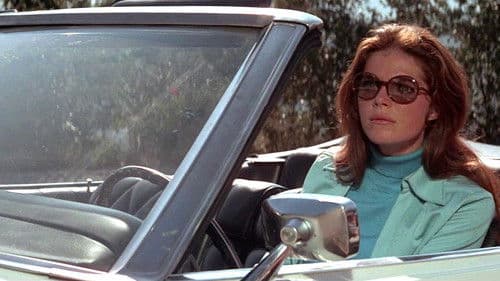 Die Dame im Auto mit Brille und Gewehr Bild 4