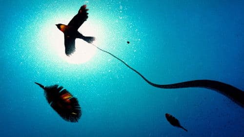 Kahlil Gibran's The Prophet Bild 7