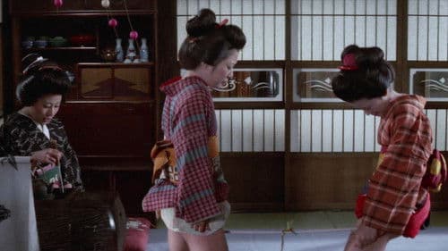 四畳半襖の裏張り　しのび肌 Bild 2