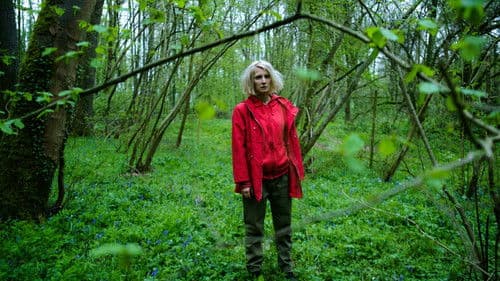 Hunted - Waldsterben Bild 5