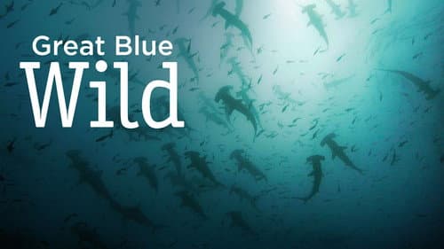 Great Blue Wild Bild 6