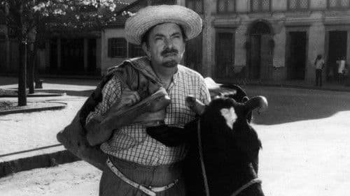 No Paraíso das Solteironas Bild 1