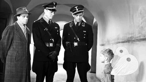 Świadectwo urodzenia Bild 7