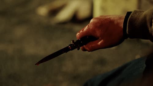 Marion's Lilies Bild 2