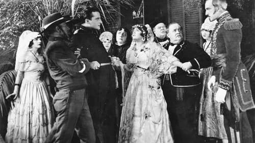 The Spider and the Rose Bild 1