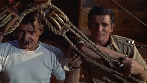 Treffpunkt Hongkong Bild 2