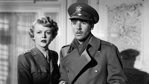 Schicksal in Wien Bild 2