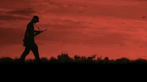 Colombia in My Arms Bild 1