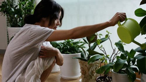 채식주의자 Bild 3