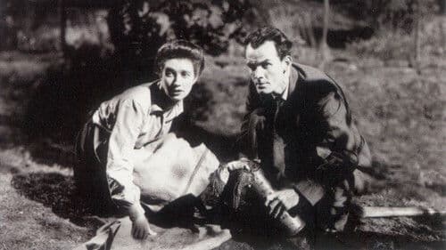 The Flemish Farm Bild 2