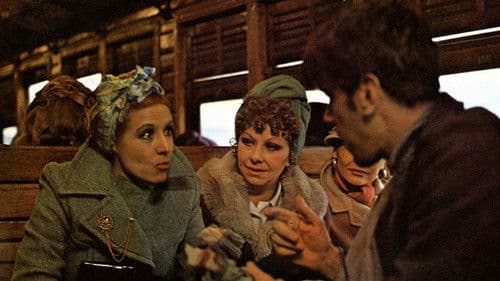 Pim, pam, pum… ¡fuego! Bild 1