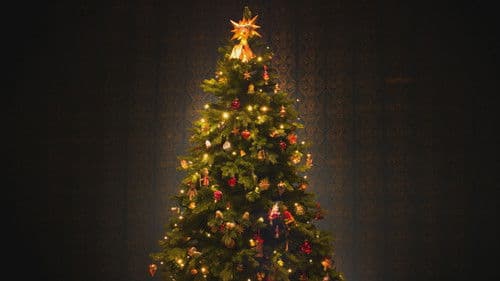 Vánoční svatba sněhuláka Karla Bild 3