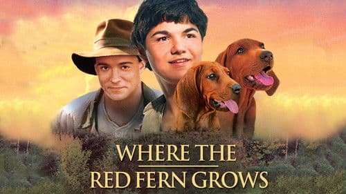 Wo der rote Farn wächst Bild 3