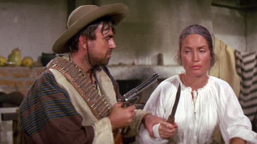 Rocco - der Einzelgänger von Alamo Bild 5