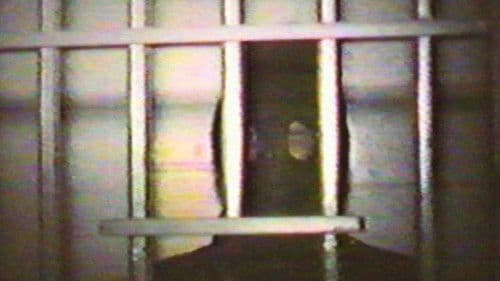 Cannibal Orgy Bild 4