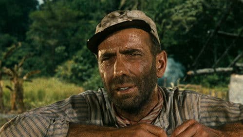 African Queen Bild 3