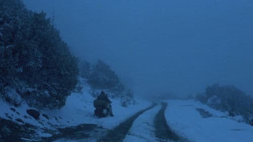 Die Reise des jungen Che Bild 8