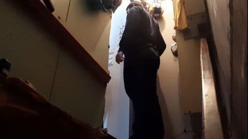 The Silent Forest Bild 1