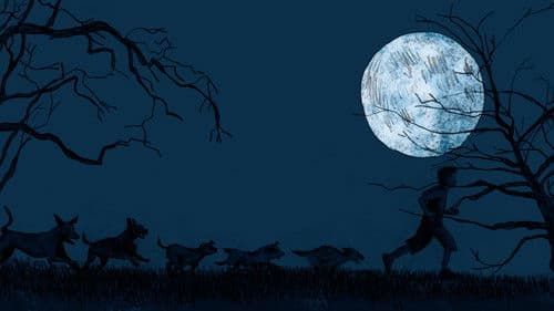 Le avventure del lupo Bild 3