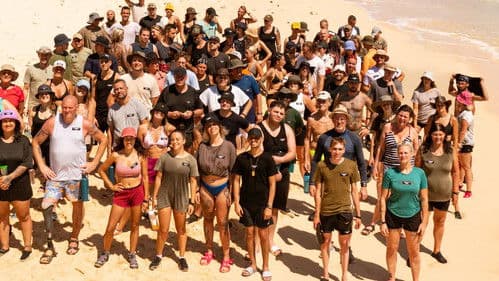 Million Dollar Island Bild 2