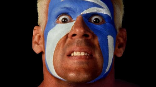 WCW World War 3 1995 Bild 1