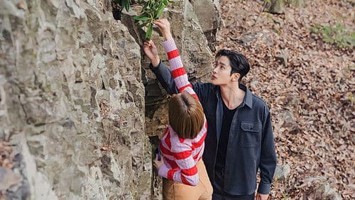 이 연애는 불가항력 Bild 5