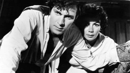 Sumpf unter den Füßen Bild 4