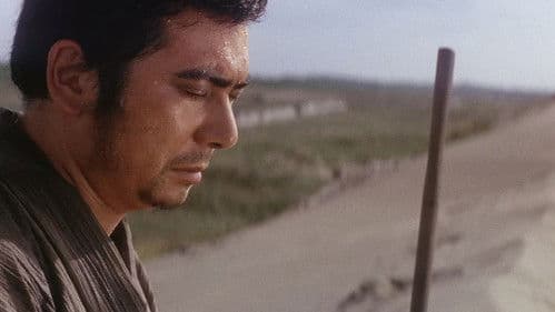 Zatoichi and the Doomed Man Bild 4